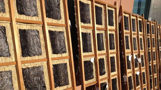 Image via The Japan Times.