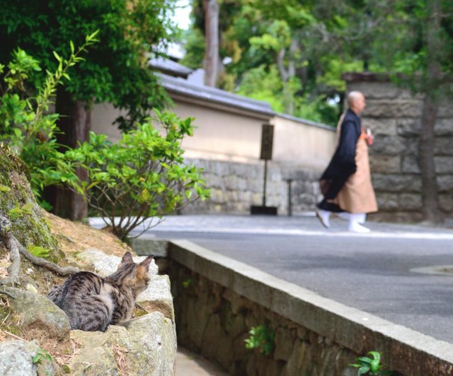 Yutaka Katayama via Business Insider